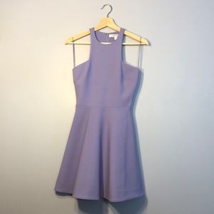 Elizabeth and James Mini Dress